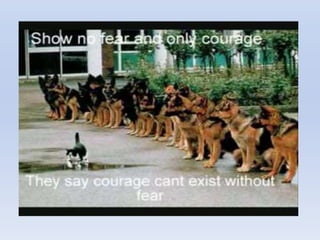 Motivation Presentation