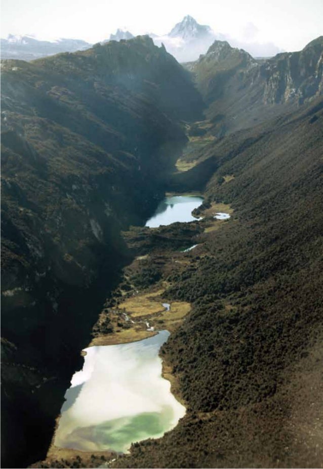 50 kisah inspirasi_wwf_untuk_indonesia