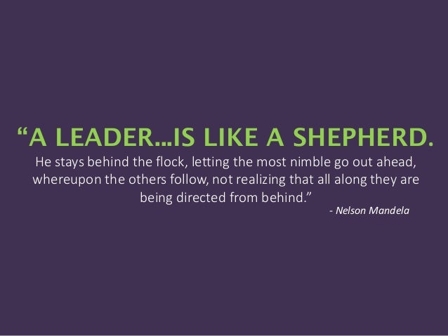 A Leader Is Like A Shepherd