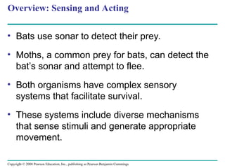 50_lecture_presentation_0.pptyyyyyyyyyyyyy | PPT