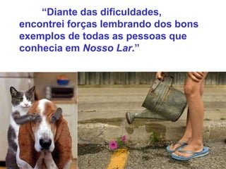 “Diante das dificuldades,
encontrei forças lembrando dos bons
exemplos de todas as pessoas que
conhecia em Nosso Lar.”
 
