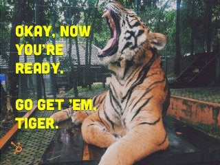 Okay, Now
you’re
ready.
Go get ’em,
tiger.
 