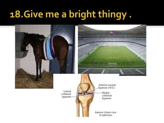 18.Give me a bright thingy .