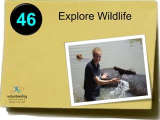 46 Explore Wildlife 
 