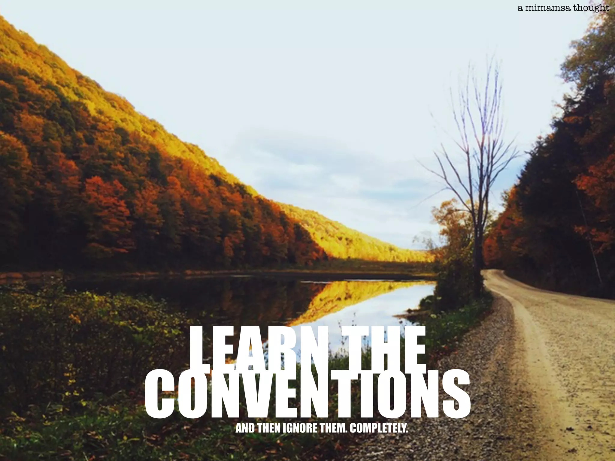 LEARN THE
CONVENTIONSAND THEN IGNORE THEM. COMPLETELY.
a mimamsa thought
 