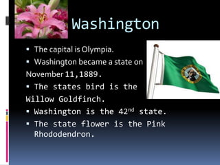 Washington
 The capital is Olympia.
 Washington became a state on
November 11,1889.
 The states bird is the
Willow Goldfinch.
 Washington is the 42nd state.
 The state flower is the Pink
  Rhododendron.
 