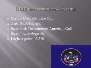    Capital City: Salt Lake City
   Area: 84,904 sq. mi.
   State bird: The common American Gull
   State flower: Sego lily
   Highest point: 13,528
 