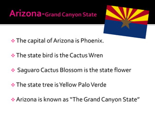  The capital of Arizona is Phoenix.

 The state bird is the Cactus Wren

   Saguaro Cactus Blossom is the state flower

 The state tree is Yellow Palo Verde

 Arizona is known as “The Grand Canyon State”
 