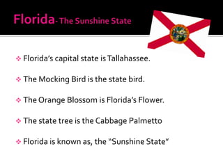  Florida’s capital state is Tallahassee.

 The Mocking Bird is the state bird.

 The Orange Blossom is Florida’s Flower.

 The state tree is the Cabbage Palmetto

 Florida is known as, the “Sunshine State”
 