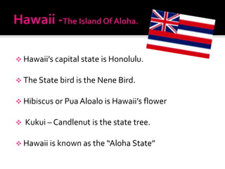  Hawaii’s capital state is Honolulu.

 The State bird is the Nene Bird.

 Hibiscus or Pua Aloalo is Hawaii’s flower

   Kukui – Candlenut is the state tree.

 Hawaii is known as the “Aloha State”
 