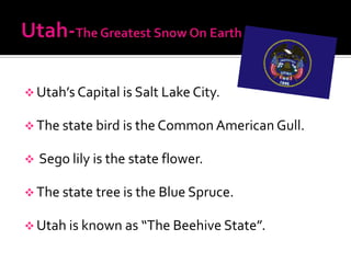  Utah’s Capital is Salt Lake City.

 The state bird is the Common American Gull.

   Sego lily is the state flower.

 The state tree is the Blue Spruce.

 Utah is known as “The Beehive State”.
 