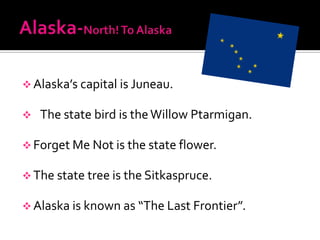  Alaska’s capital is Juneau.

   The state bird is the Willow Ptarmigan.

 Forget Me Not is the state flower.

 The state tree is the Sitkaspruce.

 Alaska is known as “The Last Frontier”.
 