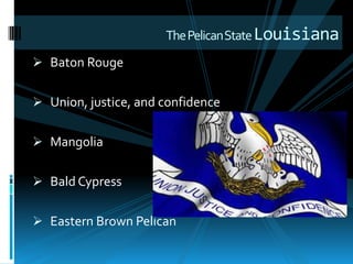 The Pelican State Louisiana
 Baton Rouge


 Union, justice, and confidence


 Mangolia


 Bald Cypress


 Eastern Brown Pelican
 