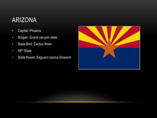 ARIZONA
•   Capital: Phoenix
•   Slogan: Grand canyon state
•   State Bird: Cactus Wren
•   48th State
•   State flower: Saguaro cactus blossom
 
