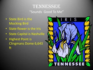Tennessee
                 “Sounds Good To Me”
• State Bird is the
  Mocking Bird
• State flower is the Iris
• State Capital is Nashville
• Highest Point is
  Clingmans Dome 6,643
  ft
 