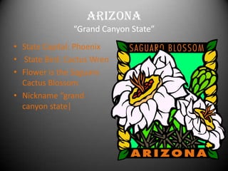 Arizona
               “Grand Canyon State”
• State Capital: Phoenix
• State Bird: Cactus Wren
• Flower is the Saguaro
  Cactus Blossom
• Nickname “grand
  canyon state|
 