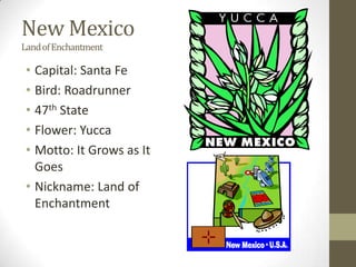 New Mexico
Land of Enchantment

 • Capital: Santa Fe
 • Bird: Roadrunner
 • 47th State
 • Flower: Yucca
 • Motto: It Grows as It
   Goes
 • Nickname: Land of
   Enchantment
 