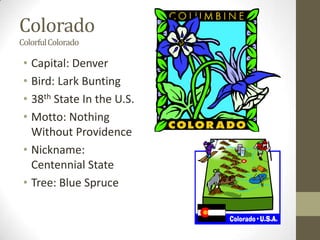 Colorado
Colorful Colorado

 • Capital: Denver
 • Bird: Lark Bunting
 • 38th State In the U.S.
 • Motto: Nothing
   Without Providence
 • Nickname:
   Centennial State
 • Tree: Blue Spruce
 