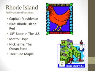 Rhode Island
And Providence Plantations

 • Capital: Providence
 • Bird: Rhode Island
   Red
 • 13th State In The U.S.
 • Motto: Hope
 • Nickname: The
   Ocean State
 • Tree: Red Maple
 