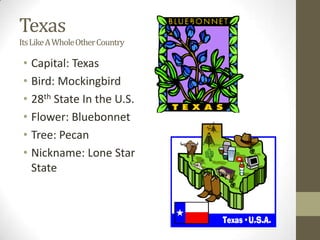 Texas
Its Like A Whole Other Country

 • Capital: Texas
 • Bird: Mockingbird
 • 28th State In the U.S.
 • Flower: Bluebonnet
 • Tree: Pecan
 • Nickname: Lone Star
   State
 
