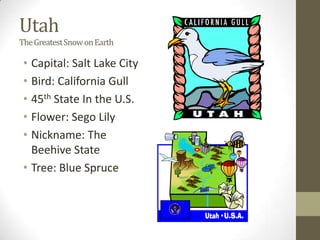 Utah
The Greatest Snow on Earth

 • Capital: Salt Lake City
 • Bird: California Gull
 • 45th State In the U.S.
 • Flower: Sego Lily
 • Nickname: The
   Beehive State
 • Tree: Blue Spruce
 