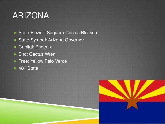 arizona state flower