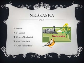 NEBRASKA

 Lincoln

 Goldenrod

 Western Meadowlark

 Whit Tailed Dear

 “Corn Husker State”
 