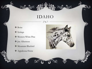 IDAHO

 Boise

 Syringa

 Western White Pine

 Joe Albertson

 Mountain Bluebird

 Appaloosa Horse
 