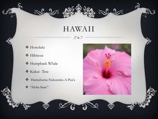 HAWAII

 Honolulu

 Hibiscus

 Humpback Whale

 Kukui -Tree

 Humuhumu-Nukunuku-A-Pua'a
 “Aloha State”
 
