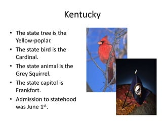 Kentucky
• The state tree is the
  Yellow-poplar.
• The state bird is the
  Cardinal.
• The state animal is the
  Grey Squirrel.
• The state capitol is
  Frankfort.
• Admission to statehood
  was June 1st.
 