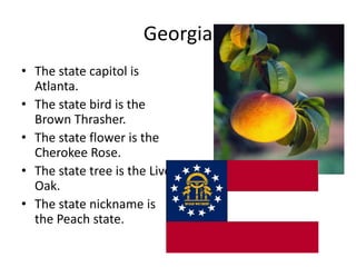 Georgia
• The state capitol is
  Atlanta.
• The state bird is the
  Brown Thrasher.
• The state flower is the
  Cherokee Rose.
• The state tree is the Live
  Oak.
• The state nickname is
  the Peach state.
 