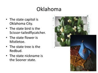 Oklahoma
• The state capitol is
  Oklahoma City.
• The state bird is the
  Scissor-tailedflycatcher.
• The state flower is
  Mistletoe.
• The state tree is the
  Redbud.
• The state nickname is
  the Sooner state.
 