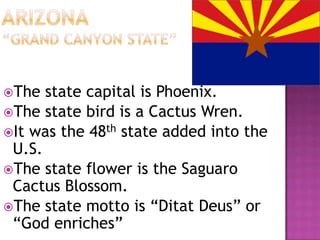 The  state capital is Phoenix.
The state bird is a Cactus Wren.
It was the 48th state added into the
 U.S.
The state flower is the Saguaro
 Cactus Blossom.
The state motto is “Ditat Deus” or
 “God enriches”
 