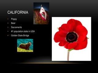 CALIFORNIA
•   Poppy
•   Bear
•   Sacramento
•   #1 population state in USA
•   Golden State Bridge
 