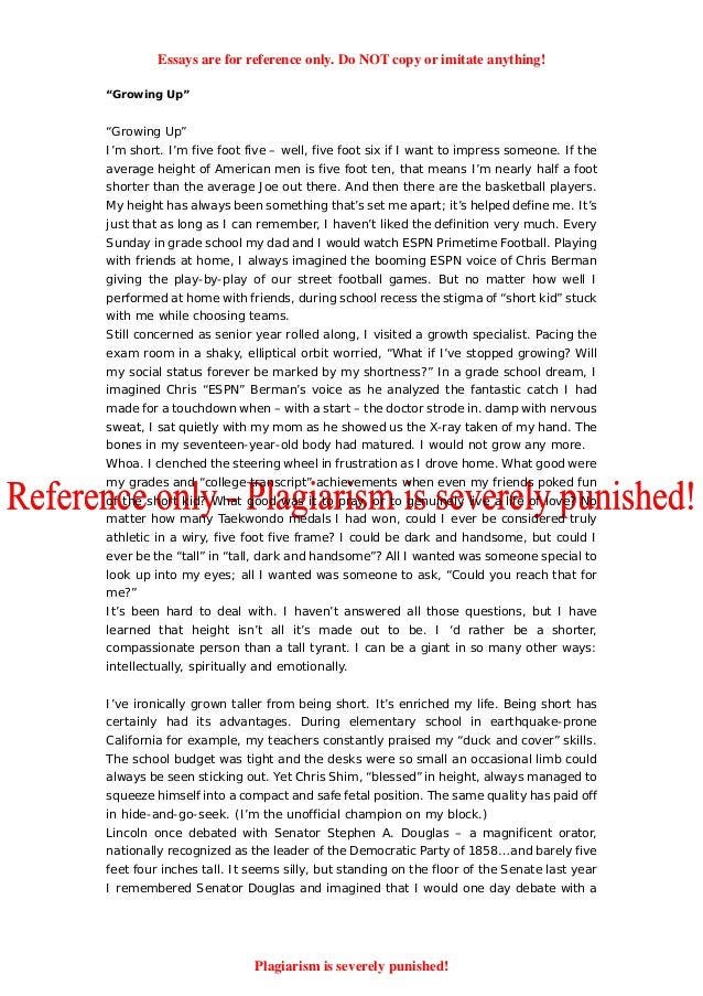 Army officer essay