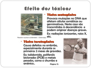 Efeito dos tóxicos
• Tóxico mutagénicoTóxico mutagénico
Provoca mutações no DNA que
afetam células somáticas ou
germinativas. Neste caso são
transmitidas à descendência e
podem originar doenças graves.
Ex: radiações ionizantes, raios X,
etc.
• Tóxico teratogénicoTóxico teratogénico
Causa defeitos no embrião,
especialmente durante os
primeiros 3 meses de gravidez.
Ex: talidomida, polifenóis
biclorados (PCB) e metais
pesados, como o chumbo e
arsénico.. Página 75
 