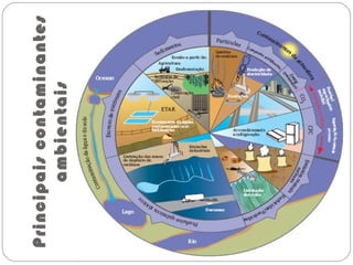 Principaiscontaminantes
ambientais
Uma grande quantidade e variedade de
substâncias tóxicas são continuamente
libertadas para a atmosfera, a água e o solo
devido a atividades humanas causadoras de
poluição.
Observa a figura seguinte e identifica os
principais contaminantes.
 