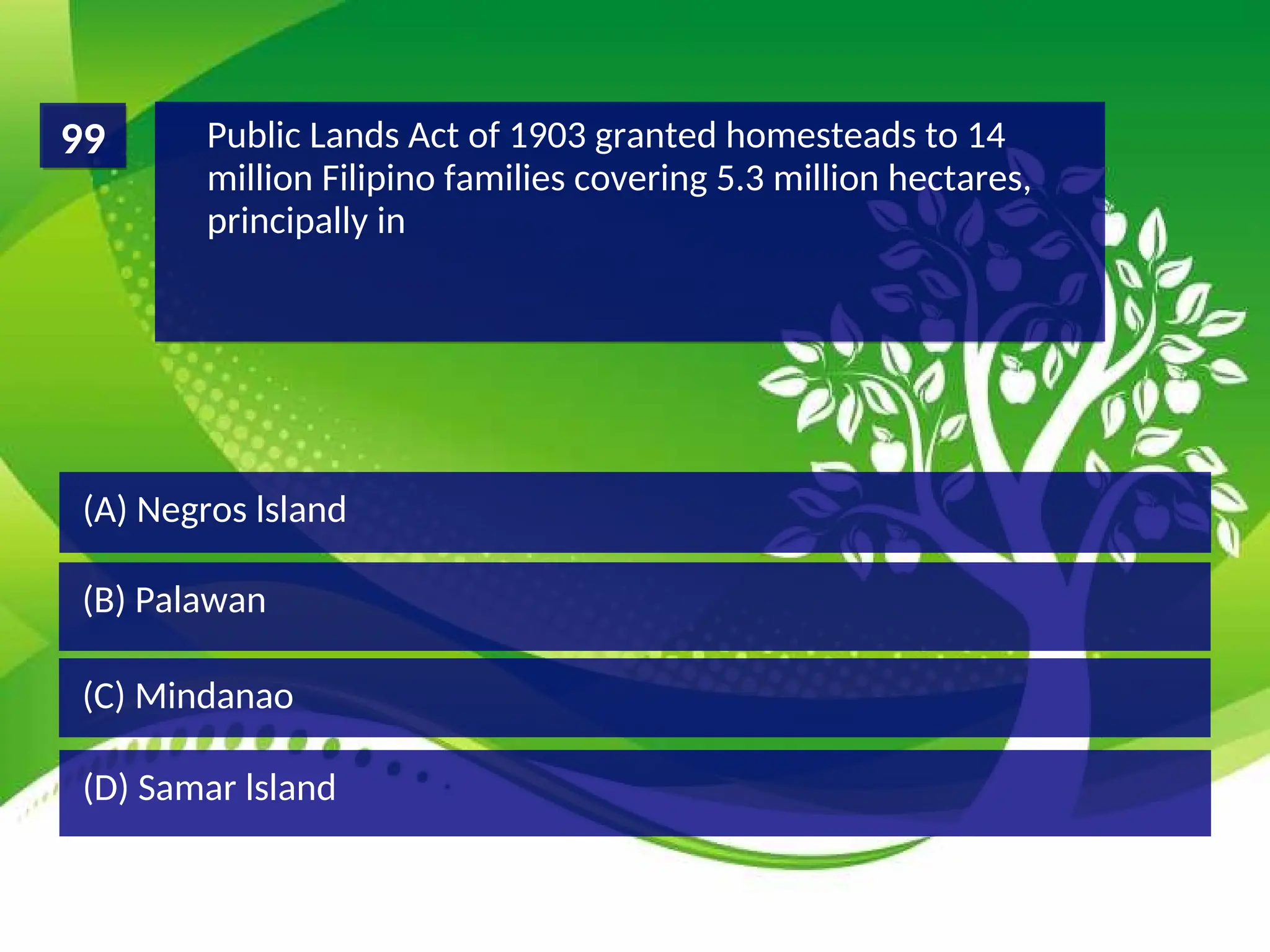 (D) Samar lsland
(C) Mindanao
(B) Palawan
(A) Negros lsland
Public Lands Act of 1903 granted homesteads to 14
million Filipino families covering 5.3 million hectares,
principally in
99
 