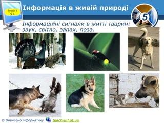 Розділ 1
§1

Інформація в живій природі
Інформаційні сигнали в житті тварин:
звук, світло, запах, поза.

© Вивчаємо інформатику

teach-inf.at.ua

5

 