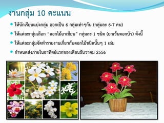 งานกลุ่ม 10 คะแนน
 ให้นักเรียนแบ่งกลุ่ม ออกเป็น 6 กลุ่มเท่าๆกัน (กลุ่มละ 6-7 คน)
 ให้แต่ละกลุ่มเลือก “ดอกไม้อาเซียน” กลุ่มละ 1 ชนิด (ยกเว้นดอกบัว) ดังนี้
 ให้แต่ละกลุ่มจัดทารายงานเกี่ยวกับดอกไม้ชนิดนั้นๆ 1 เล่ม
 กาหนดส่งภายในอาทิตย์แรกของเดือนธันวาคม 2556
 