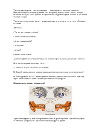 У всех млекопитающих слух очень развит, у них появляется наружная раковина.
Поразительно работают уши у собаки. Она, например, может слышать звуки, которые
более чем в 100 раз тише: уровень их приближается к уровню шумов теплового движения
молекул воздуха.
У животных относящихся к классу млекопитающие, и у человека орган слуха образован 3
отделами.
. (Учитель)
- Так как же слышит кузнечик?
- А как слышат насекомые?
- А чем слышат рыбы?
- А лягушки?
- А змеи?
- А как слышат птицы?
А сейчас поработаем со схемой “слуховой анализатор” и выясним, как слышит человек.
Ответьте на вопросы, используя схему:
А. Назовите отделы слухового анализатора.
Б. В какой части слухового анализатора происходит окончательное различение звуков?
В. При нарушении 1 или II звена слухового анализатора используют костную передачу
звука. Какие свойства кости в этом случае играют важную роль?
(Проецирую на экран с компьютера)
Звуки бывают разные. Мы легко различаем свист и дробь барабана, мужской голос (бас)
от женского (сопрано).Чем же отличаются звуки друг от друга?
 