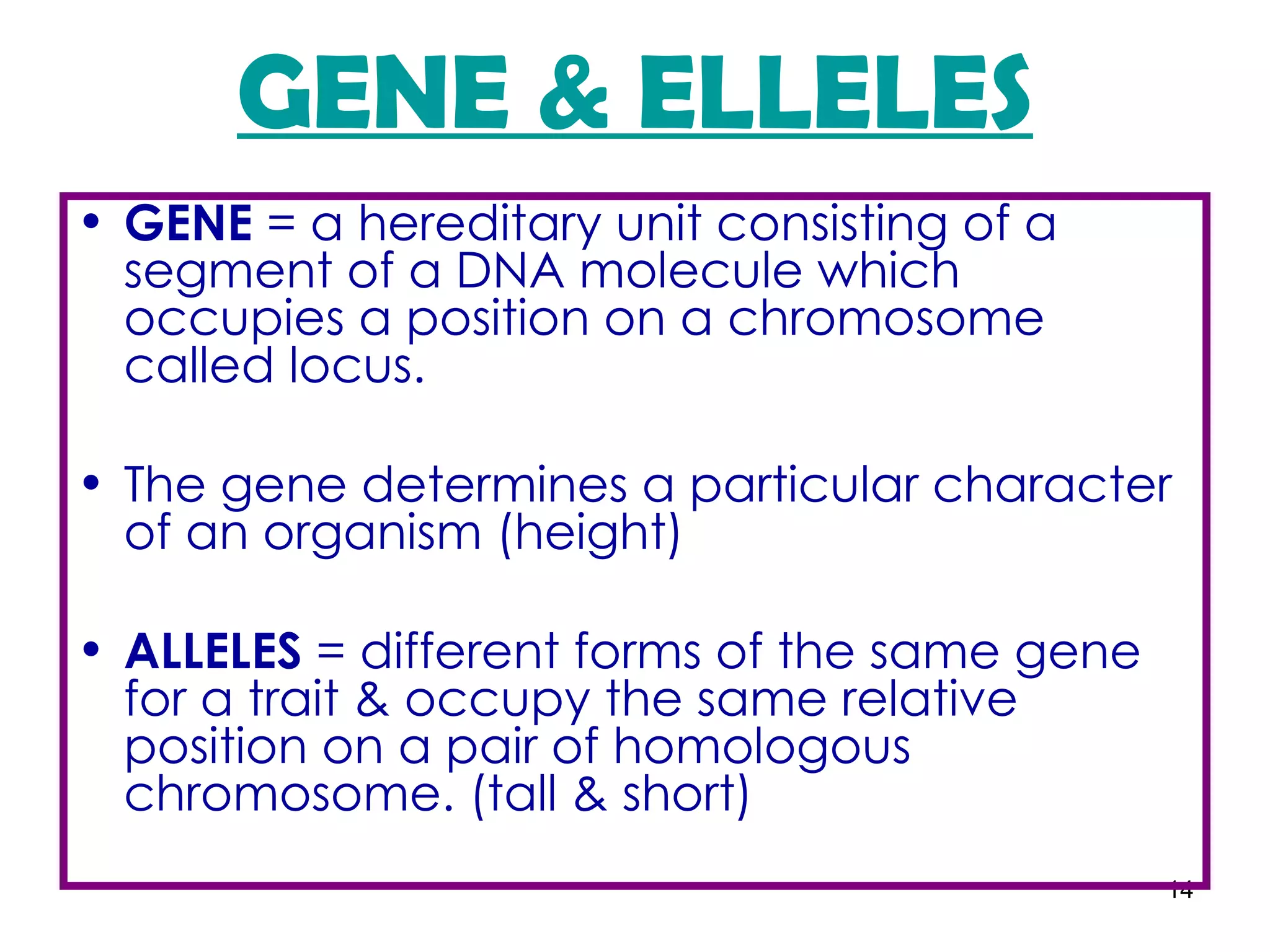 GENE & ELLELES
• GENE = a hereditary unit consisting of a
  segment of a DNA molecule which
  occupies a position on a chromosome
  called locus.

• The gene determines a particular character
  of an organism (height)

• ALLELES = different forms of the same gene
  for a trait & occupy the same relative
  position on a pair of homologous
  chromosome. (tall & short)
                                               14
 