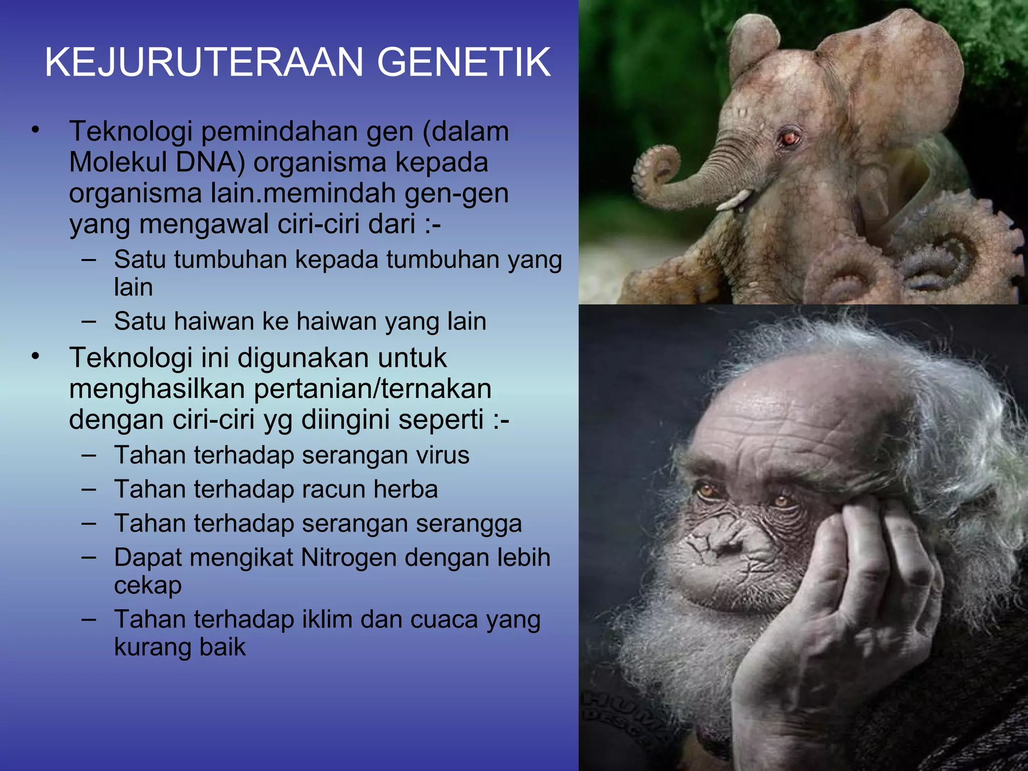 KEJURUTERAAN GENETIK
•   Teknologi pemindahan gen (dalam
    Molekul DNA) organisma kepada
    organisma lain.memindah gen-gen
    yang mengawal ciri-ciri dari :-
     – Satu tumbuhan kepada tumbuhan yang
       lain
     – Satu haiwan ke haiwan yang lain
•   Teknologi ini digunakan untuk
    menghasilkan pertanian/ternakan
    dengan ciri-ciri yg diingini seperti :-
     – Tahan terhadap serangan virus
     – Tahan terhadap racun herba
     – Tahan terhadap serangan serangga
     – Dapat mengikat Nitrogen dengan lebih
       cekap
     – Tahan terhadap iklim dan cuaca yang
       kurang baik

                                              36
 