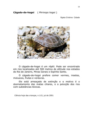 Animais em extinção