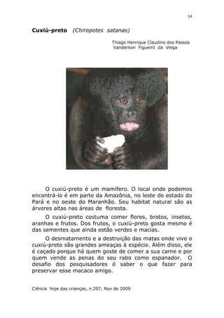 Animais em extinção