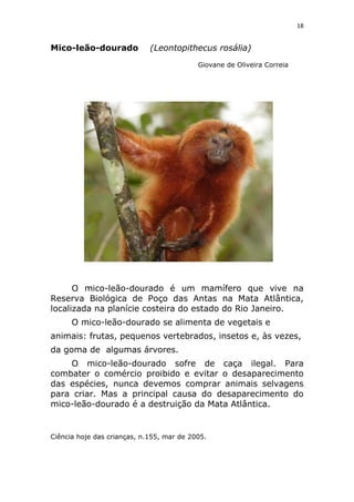 Animais em extinção