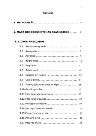 Animais em extinção