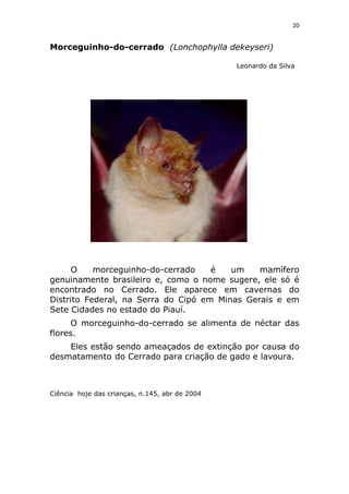 Animais em extinção