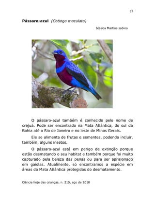 Animais em extinção