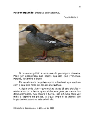 Animais em extinção